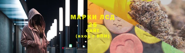 мяу мяу мука Болхов