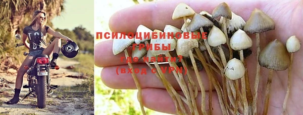 мяу мяу мука Болхов