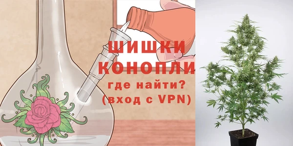 кристаллы Тында