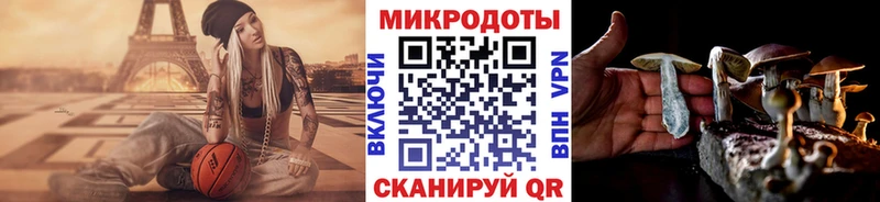площадка как зайти  Шлиссельбург  Галлюциногенные грибы прущие грибы 